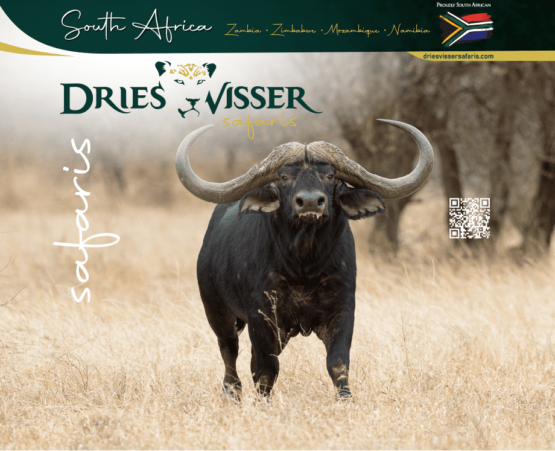 african arrow safaris price list